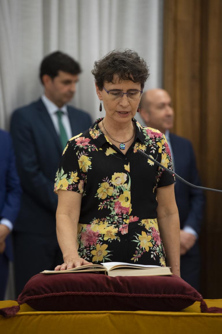 Imagen noticia: Mercedes Gómez Álvarez, Directora General de Transporte Terrestre - Ministerio de Fomento.